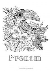 Dessin gratuit Fleurs Toucan Coloriages complexes Oiseaux et mammifères volants Hibiscus