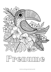 Desen liber de colorat Flori Animal Tucan Desene de colorat complexe Păsări și mamifere zburătoare Hibiscus