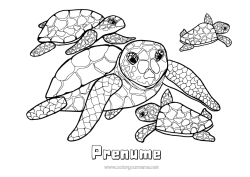 Desen liber de colorat Mama Broască țestoasă Mare Animal Animale marine sau acvatice Reptile Broască țestoasă marină Familia animalelor Pui de animal