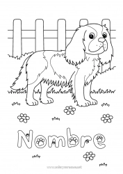 Colorear gratis Perro Animales Perros y gatos