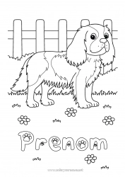 Coloriage gratuit Chien Animal Chiens et chats