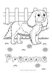 Desen liber de colorat Câine Animal Câini și pisici