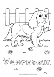 Gratis tekening Hond Dier Honden en katten