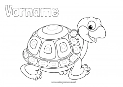 Malvorlage anpassen Niedlich Schildkröte Tier Reptilien Landschildkröte