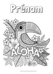 Coloriage gratuit Mandala Oiseau Animal Toucan Anti-stress Oiseaux et mammifères volants Hawaï