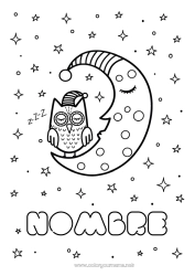 Colorear gratis Búho Animales Espacio Estrellas Luna Aves y mamíferos voladores