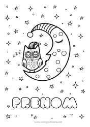 Coloriage gratuit Chouette, Hibou Espace Étoiles Lune Oiseaux et mammifères volants