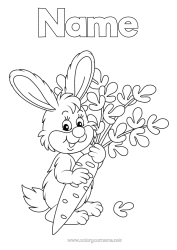 Free colouring Rabbit Animal Forest animals Carrot