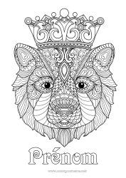 Coloriage gratuit Ours Mandala Couronne Coloriages complexes Zentangle Animaux de la forêt Roi