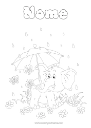 Desenho grátis Elefante Verão Borboleta Animal Guarda-chuva Insetos Chuva Animais selvagens da África