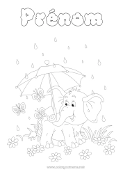 Dessin gratuit élephant Été Papillon Animal Parapluie Insectes Pluie Animaux sauvages d'Afrique