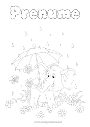 Pagină de colorat personalizată Elefant Vara Fluture Animal Umbrelă Insecte Plouă Animale sălbatice din Africa