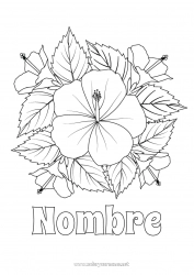 Dibujo libre Flores Verano Hibisco