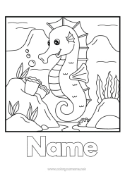 Colouring to customise Summer Animal Seahorse Marine Or Aquatic Animals