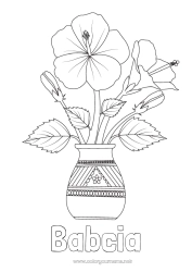 Kolorowanka dla dziecka Kwiaty Hibiskus