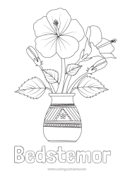 Farvelægningssiden for børn Blomster Hibiscus