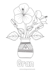 Free colouring Flowers Hibiscus