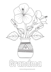 Free coloring Flowers Hibiscus