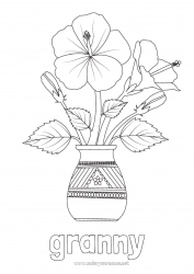 Child coloring page Flowers Hibiscus