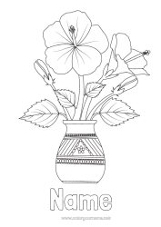 Colouring to customise Flowers Hibiscus