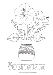 Gratis tekening Bloemen Hibiscus