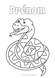 Coloriage gratuit Animal Serpent Coloriages faciles Reptiles