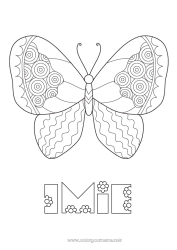 Rysunek za darmo Motyl Zwierzę Łatwe kolorowanki Zentangle Owady