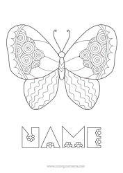 Free colouring Butterfly Animal Easy colouring pages Zentangle Insects