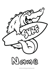 Free colouring Sport Crocodile Summer Animal Easy colouring pages Surfing Reptiles Water sports
