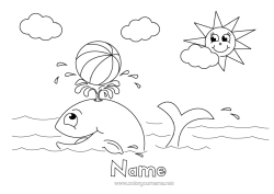 Free colouring Summer Sun Whale Sea Animal Marine or aquatic animals