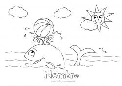 Colorear gratis Verano Sol Ballena Mar Animales marinos o acuáticos