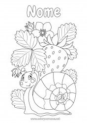 Colorazione gratuita Animale Chiocciola Frutta Disegni intermedi Fragola Altri animali del mondo