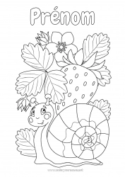 Coloriage gratuit Escargot Fruits Coloriages intermédiaires Fraise Autres animaux du monde