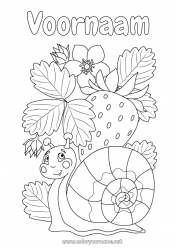 Gratis tekening Dier Slak Fruit Intermediaire kleurplaten Aardbei Andere dieren van de wereld