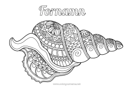 Gratis färgläggning Mandala Djur Snäckor Komplexa målarbilder Marina djur eller vattenlevande djur