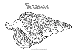 Gratis fargelegging Mandala Dyr Snegler Komplekse fargelegginger Marin eller akvatisk dyr