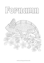 Gratis färgläggning Mandala Djur Komplexa målarbilder Kameleont Reptiler