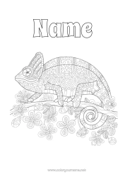 Free colouring Mandala Animal Complex colouring pages Chameleon Reptiles