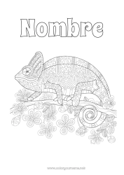 Colorear gratis Mandala Animales Dibujos complejos para colorear Camaleón Reptiles