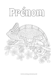 Coloriage gratuit Mandala Coloriages complexes Caméléon Reptiles