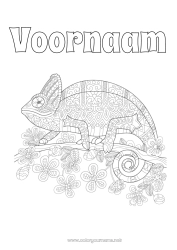 Gratis kleurplaat Mandala Dier Complex Kleurplaten Kameleon Reptielen