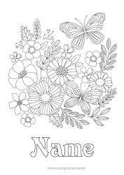 Free colouring Flowers Spring Butterfly Complex colouring pages Insects
