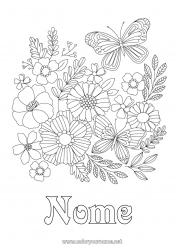 Disegno gratuito Fiori Primavera Farfalla Colorazioni complesse Insetti