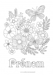 Dessin gratuit Fleurs Printemps Papillon Coloriages complexes Insectes