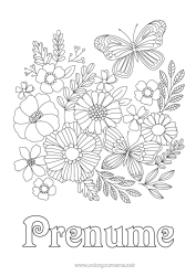 Pagină de colorat gratuită Flori Primăvară Fluture Desene de colorat complexe Insecte