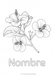 Dibujo libre Flores Hibisco