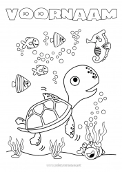 Gratis tekening Schildpad Zomer Zee Dier Vis Zeedieren Reptielen Zeeschildpad