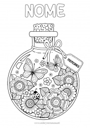 Desenho grátis Flores Verão Borboleta Animal Joaninha Colorações Intermediárias Insetos