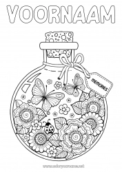 Gratis tekening Bloemen Zomer Vlinder Dier Lieveheersbeestje Intermediaire kleurplaten Insecten