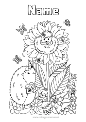 Free colouring Flowers Hedgehog Summer Butterfly Animal Sunflower Insects Forest animals